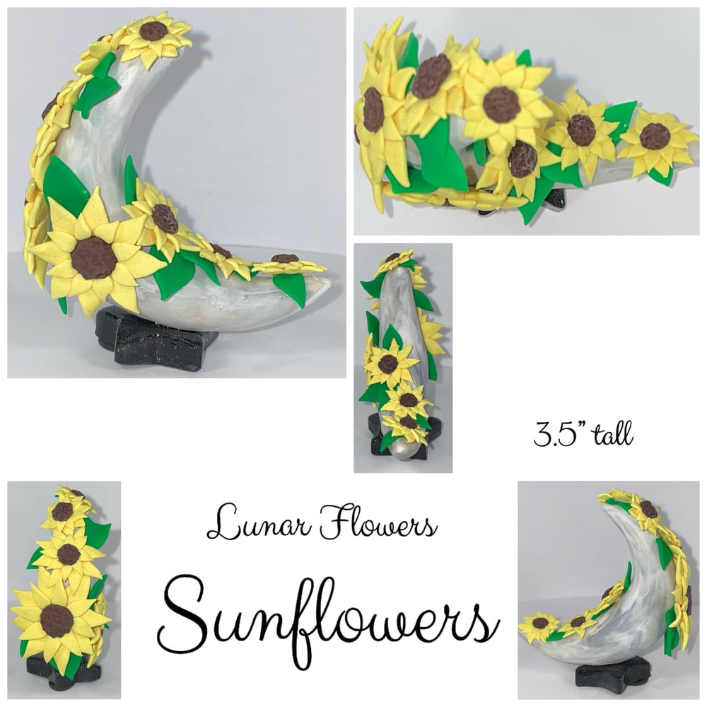 Image of Lunar Flowers 