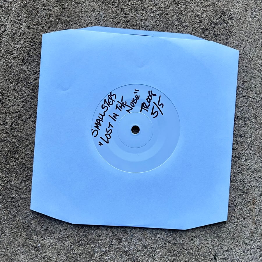 Image of Small Steps - "Lost In The Noise" TEST PRESSING