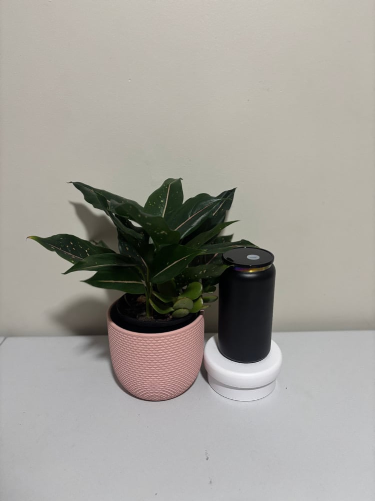 Powder Coated Libby Can - Rainbow Plated