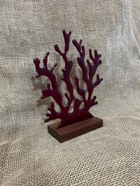 Image 4 of Red Coral