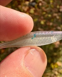 Image 1 of 2” Tracer Shad’s - ZERO TOLERANCE