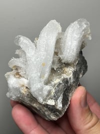 Image 12 of Ram’s Horn Selenite, Gypsum Specimen | Guizhou China #3048