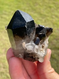 Image 11 of Smoky Quartz Points Cluster #2000