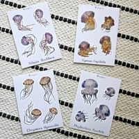Image 1 of Jellyfish Sheet