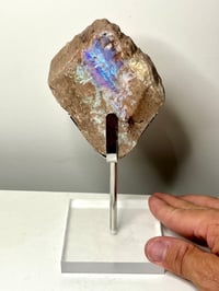 Image 1 of Andamooka Opal Painted Lady Display Piece #2647