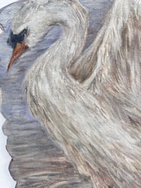 Image 3 of A Little Swan- Bridget Han