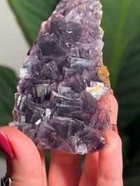 Image 5 of NATURAL RAINBOW IRIDESCENT CUBIC FLUORITE -CHINA- R
