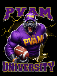 Image 2 of PVAM