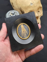 Image 4 of ANTIQUE ANATOMICAL COLLECTION - Preserved web- HAND
