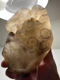 Image 6 of Smoky Quartz Enhydro Multi Terminated Crystal | Zambia #2966 