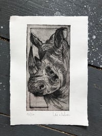 Image 3 of Gravure " Rhinoceros"