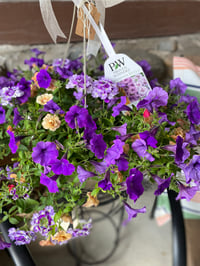 mothers day hanging basket 
