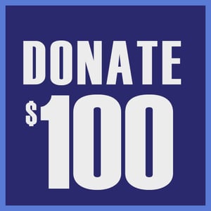 Image of DONATE DIRECTLY $100