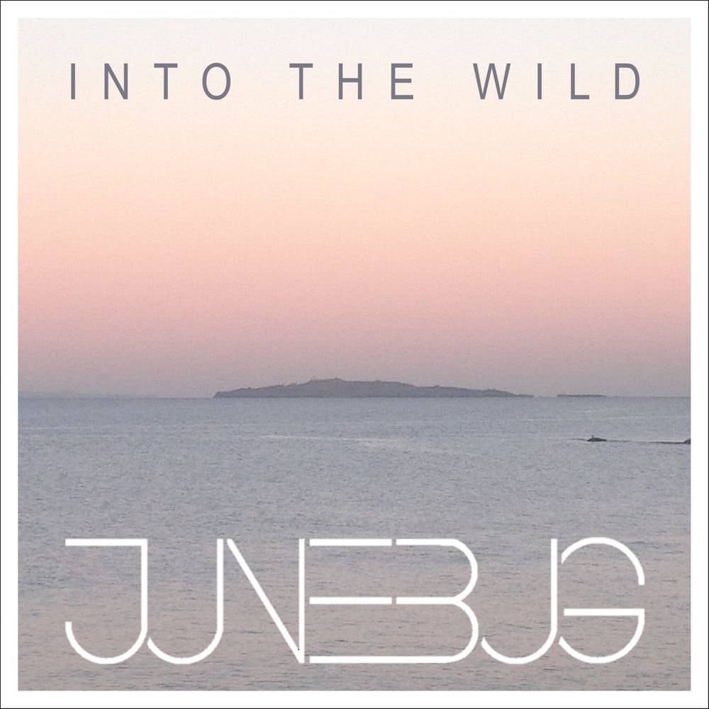 Image of Into The Wild EP - Physical Copy