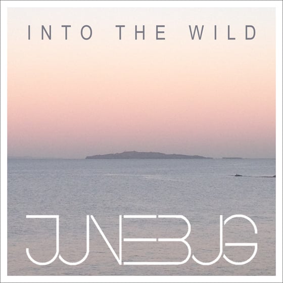 Image of Into The Wild EP - Physical Copy