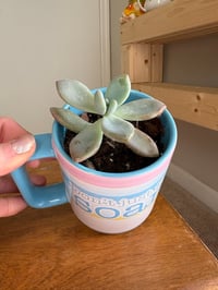 Image 5 of Ghost Plant in Dumbo 'Don't Just Fly, Soar' Mug