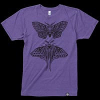Image 3 of MOTHS