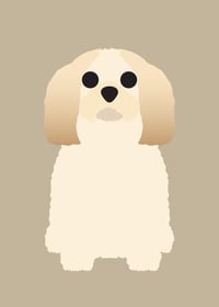 Image 1 of Lhasa Apso Collection
