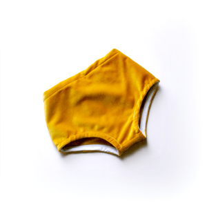 Image of Dandelion Velvet Shorties