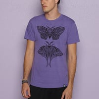 Image 4 of MOTHS