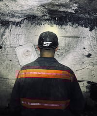 Image 2 of SF LOGO - REFLECTIVE WHITE