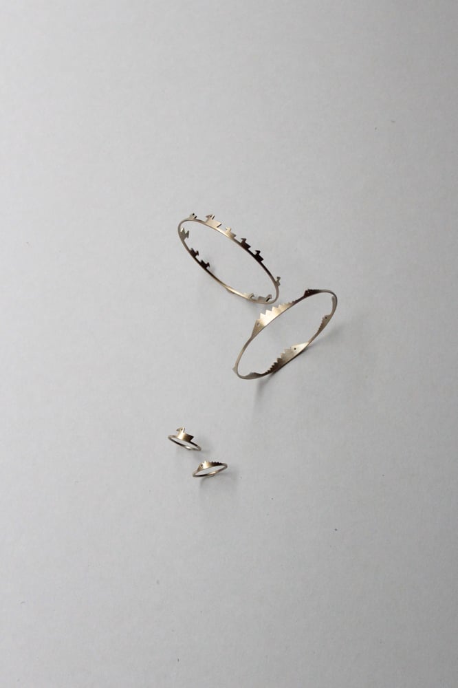 Image of DUCKS CROCODILES LITTLE GUYS