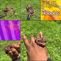 H00005