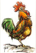 Image of Cocky