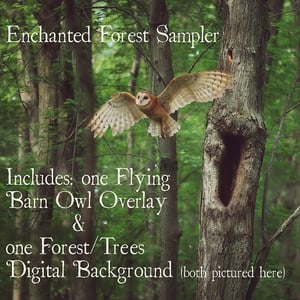 Image of Enchanted Forest Sampler