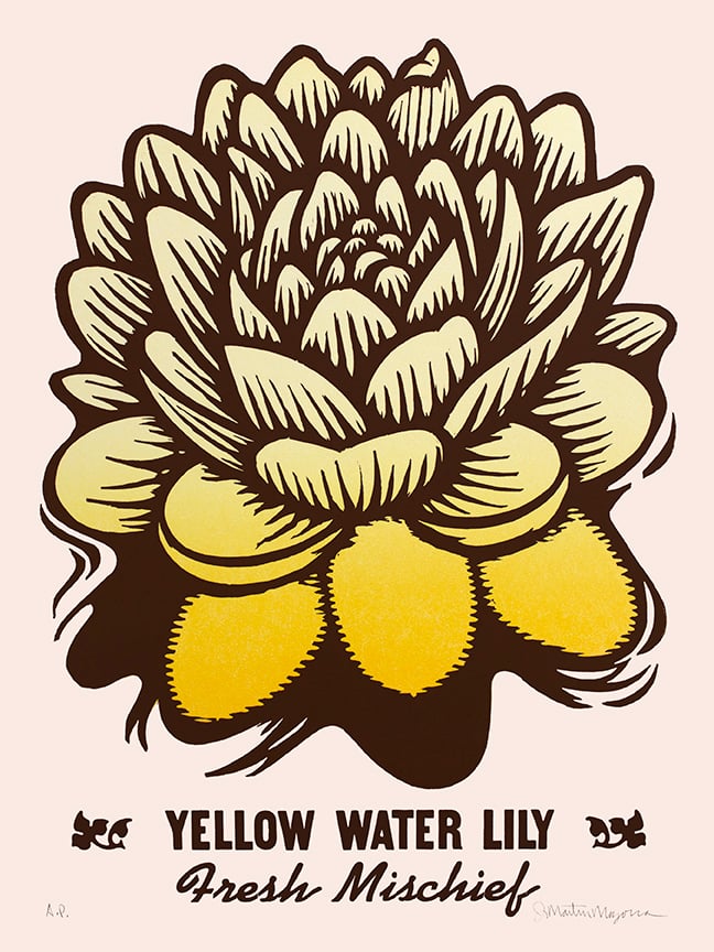 Image of Yellow Water Lily