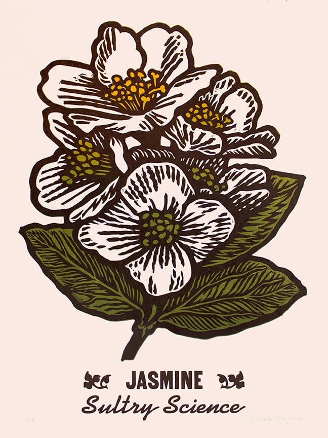 Image of Jasmine