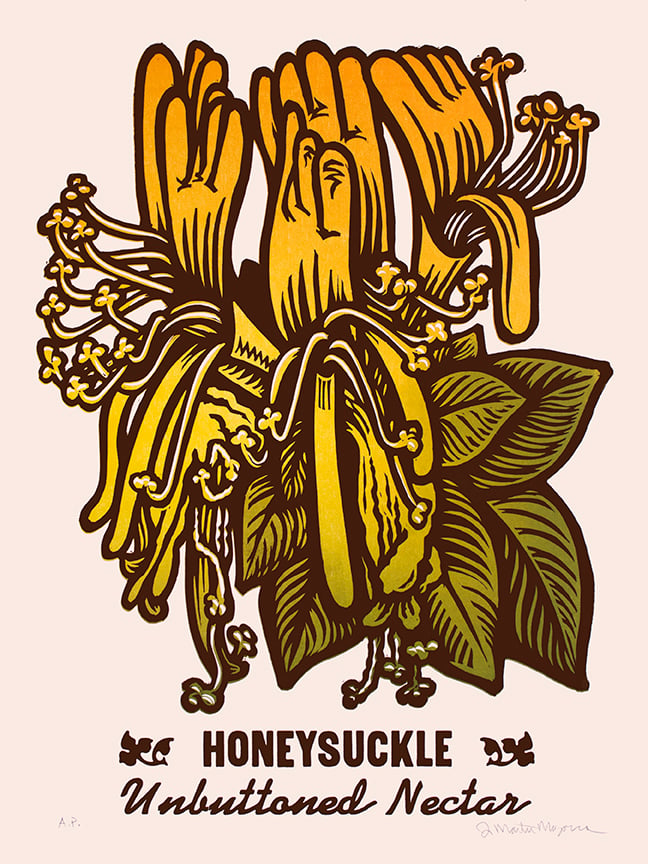 Image of Honeysuckle
