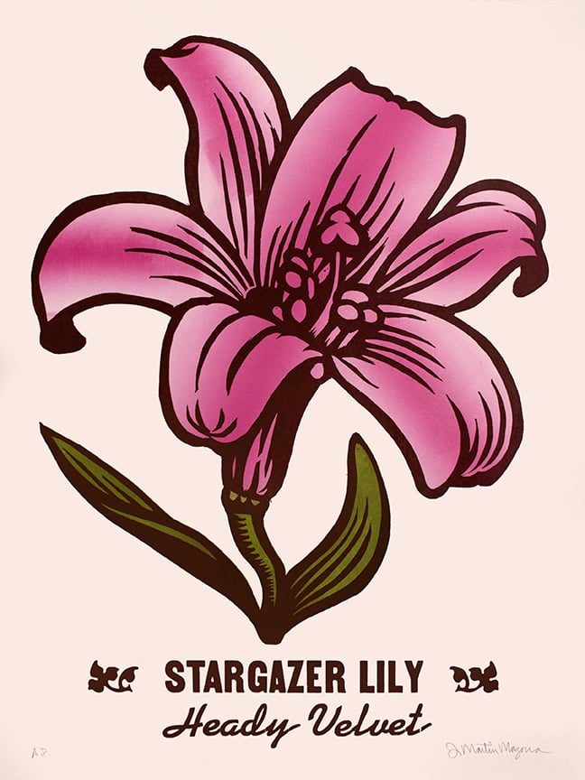 Image of Stargazer Lily