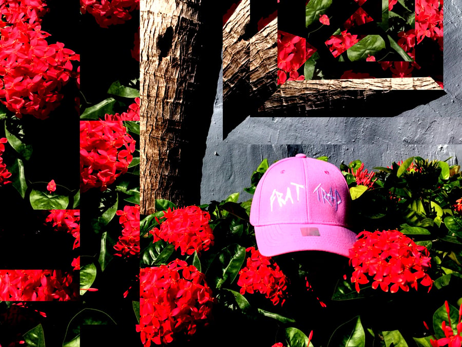 Image of Frat Trap Hat [Pink]