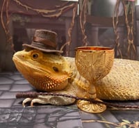 Image 1 of Indiana J0nes Reptibox!