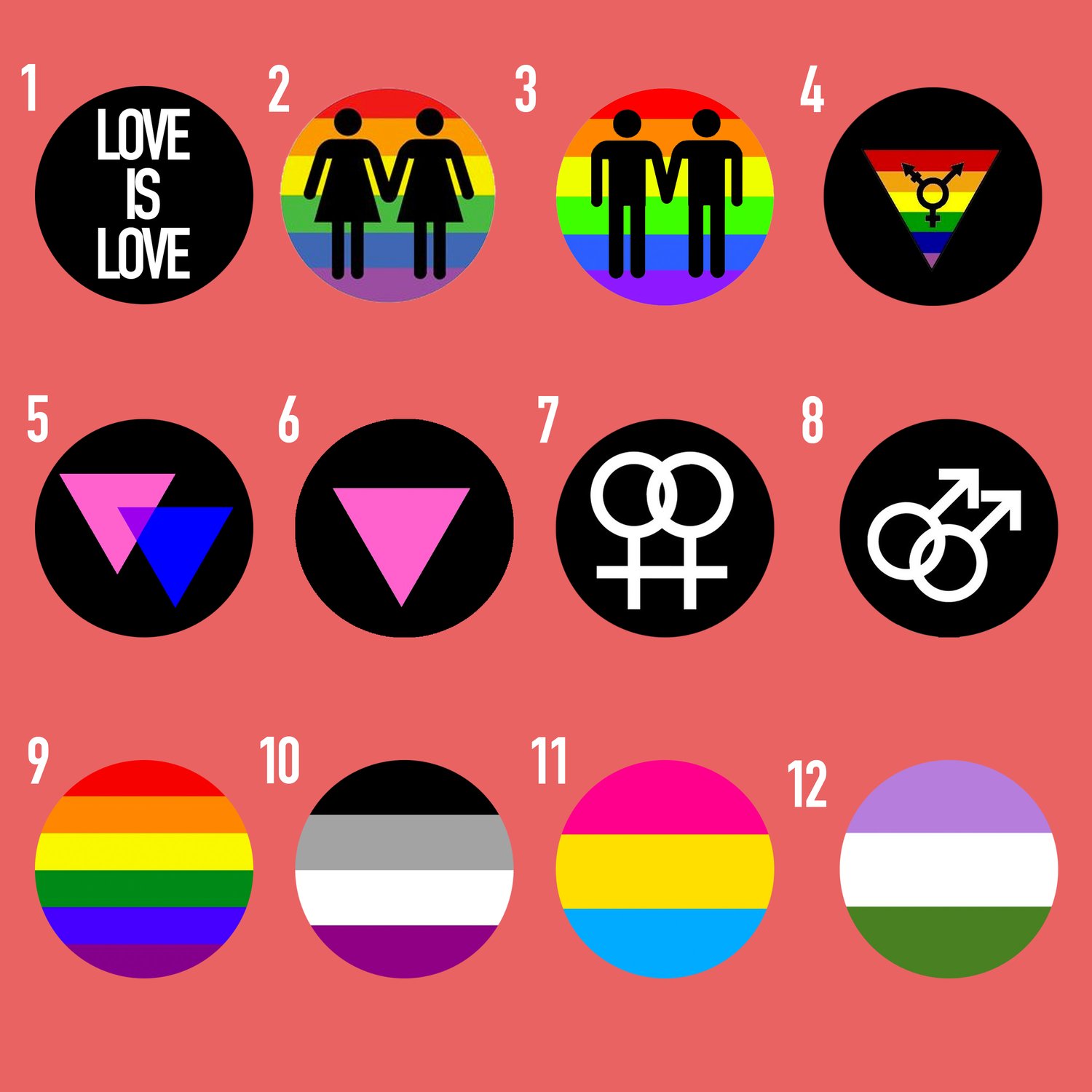 Image of Pride Plugs (sizes 2g-2")