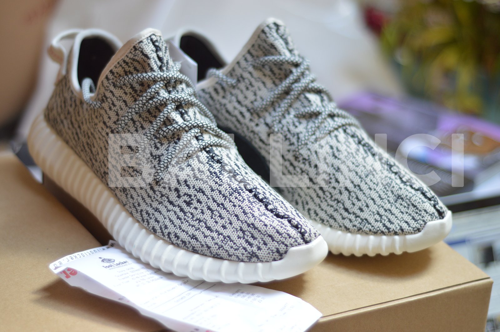 kanye turtle dove