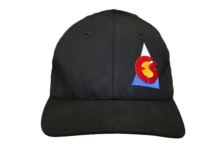 Image of Big Logo Freeride Systems Flexfit Style Solid Back Cap