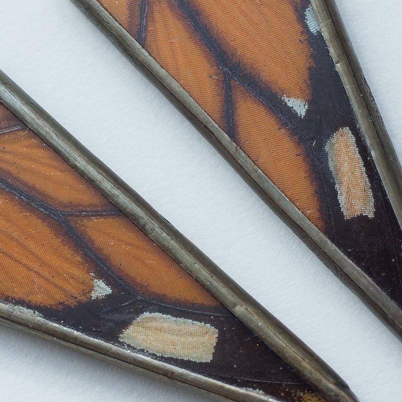 Image of Hart-Variations Isosceles Monarch Earrings
