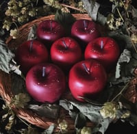 Image 2 of The Witches Apple