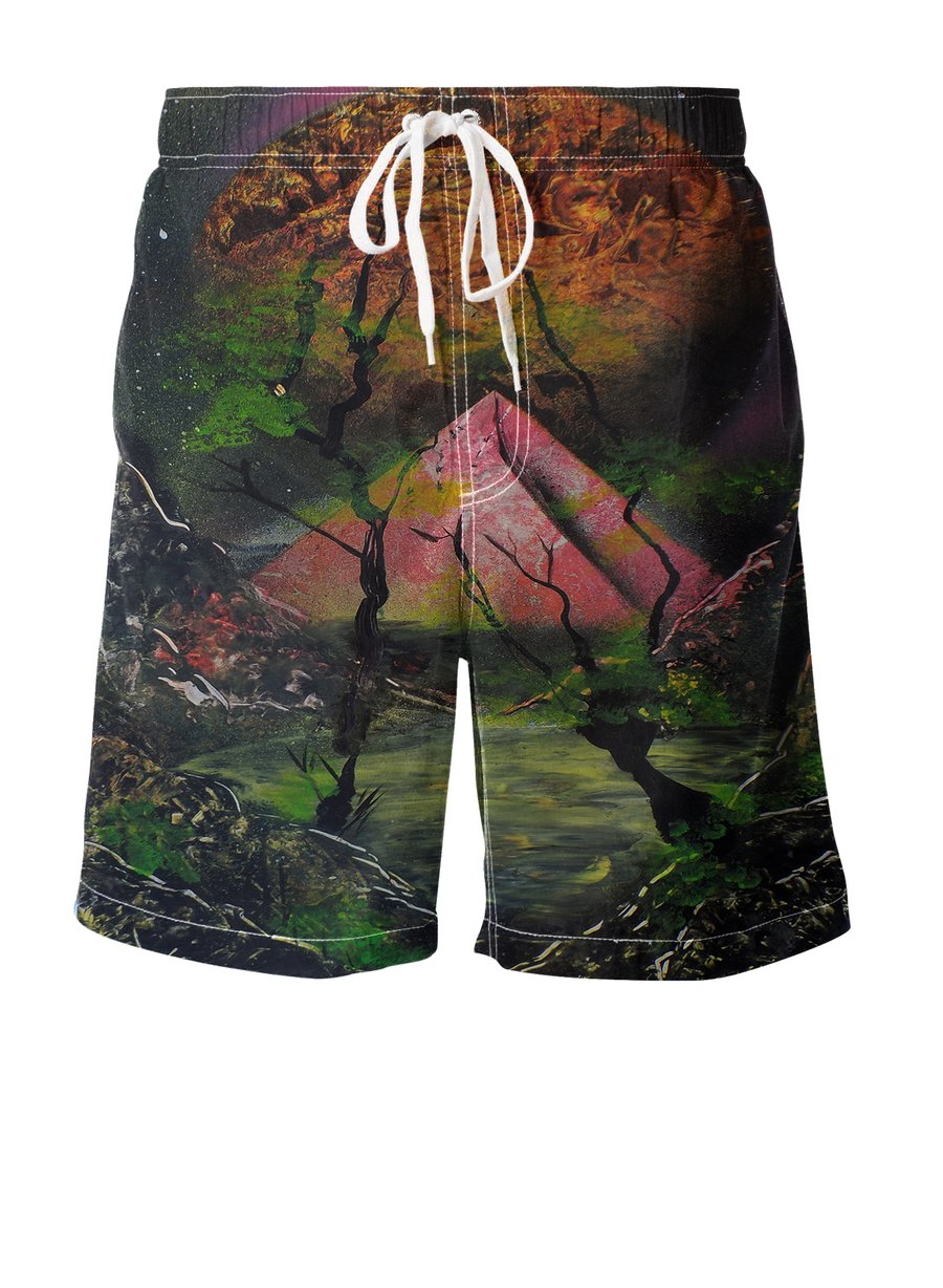 Image of Dimensions Boardshorts