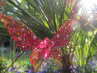 Image 3 of Astral Pink Ombre Butterfly Large Resin Pendant