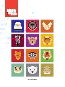 Image of BORN to be WILD