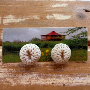 Image of Razor coral button post earrings