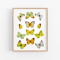 Image 5 of Yellow Butterflies LIMITED EDITION PRINT