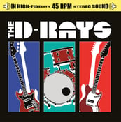 Image of The D-Rays 12" Vinyl Record w/digital download sticker
