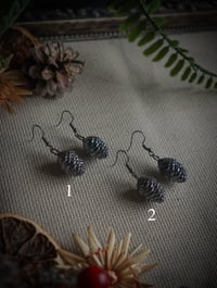 Real baby pinecone earrings
