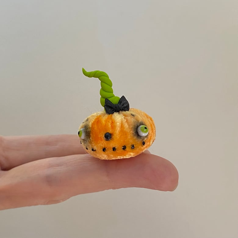 Image of Tiny Pumpkin Nugget #5