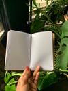 Mini NoteBooks (2pk)