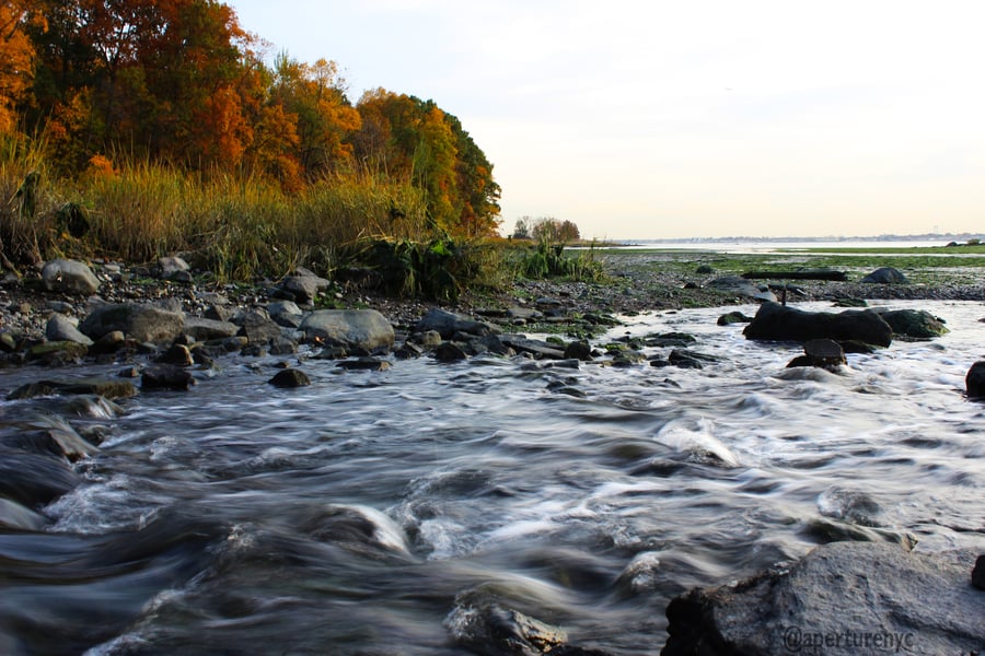 Image of Rapid River